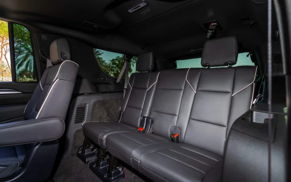 Black Cadillac Escalade ESV Photo 8