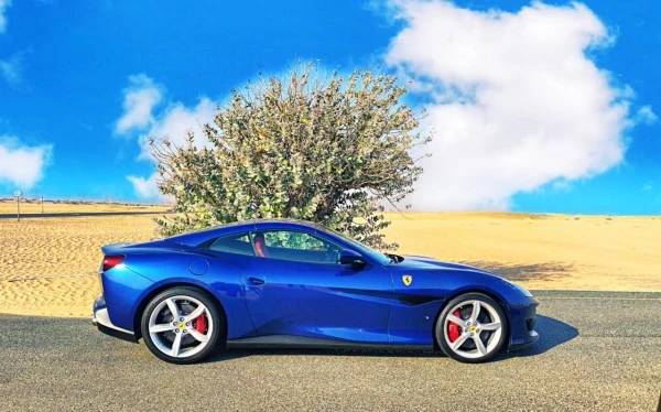 Ferrari Portofino Rosso