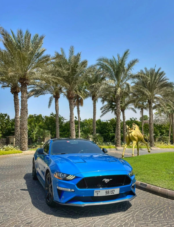 Blue Ford Mustang GT Premium V8 Photo 4
