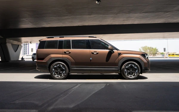 Brown Hyundai Santa Fe Photo 3