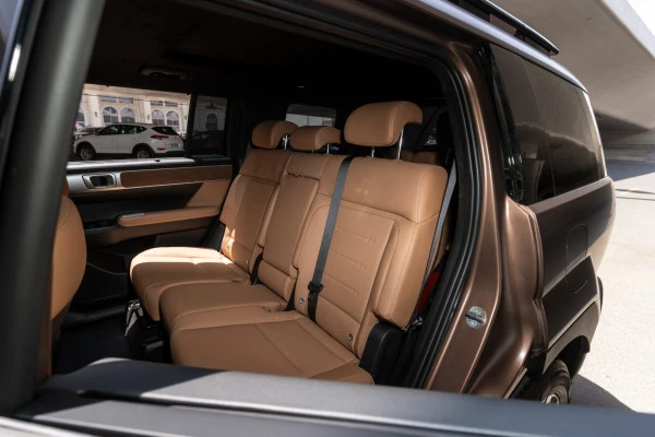 Brown Hyundai Santa Fe Photo 8