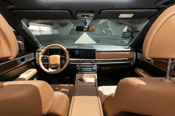 Brown Hyundai Santa Fe Photo 9