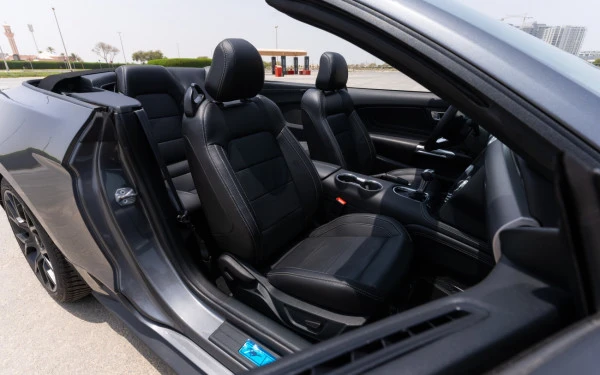 Dark Grey Ford Mustang cabrio Photo 10