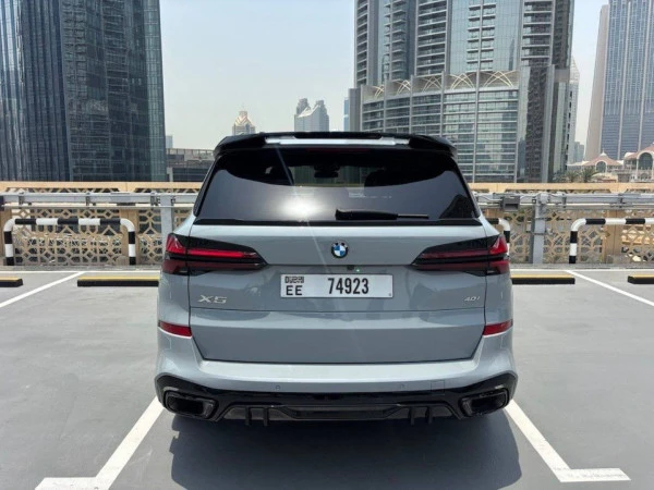 Grey BMW X5 Photo 9