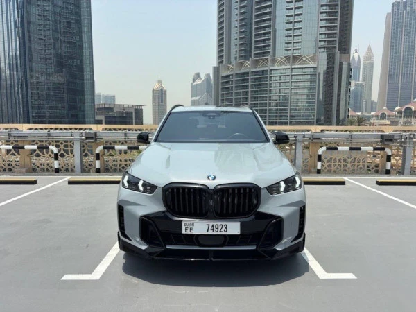 Grey BMW X5 Photo 10