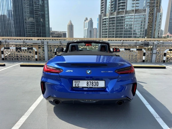 BMW Z4 30I