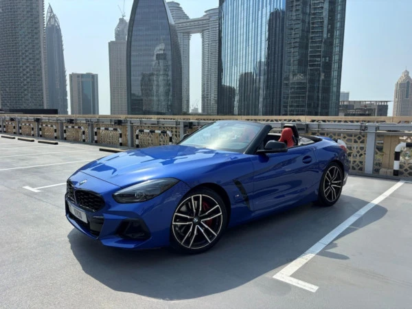 BMW Z4 30I