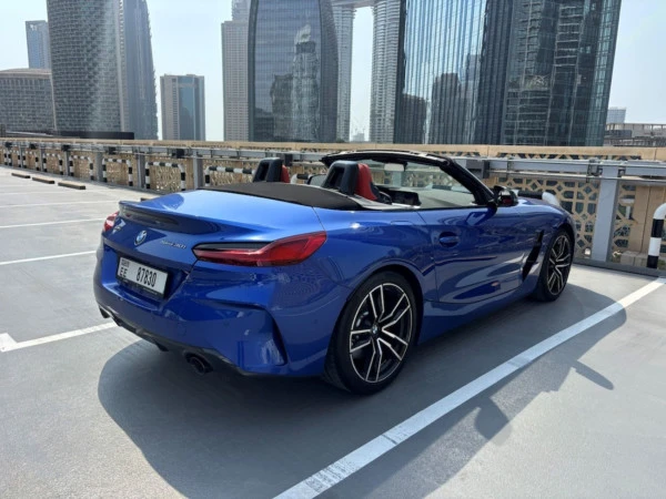 BMW Z4 30I