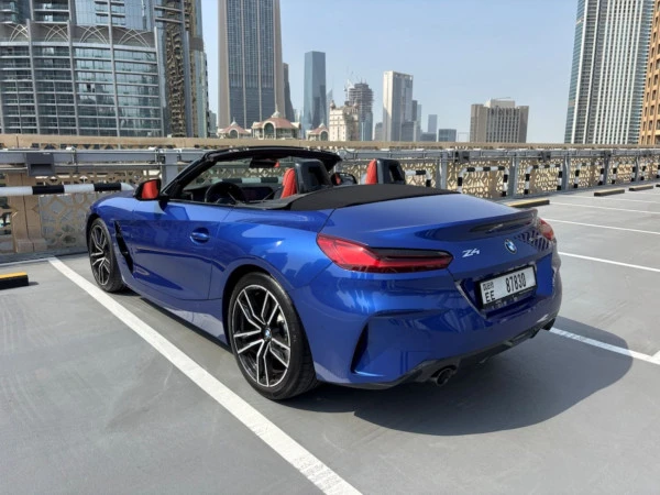 BMW Z4 30I