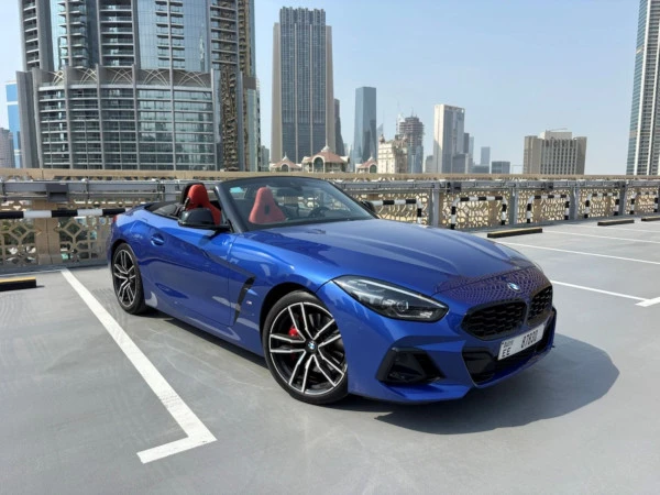 Grey BMW Z4 30I Photo 6