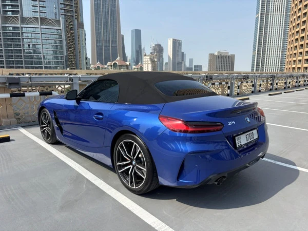 Grey BMW Z4 30I Photo 7