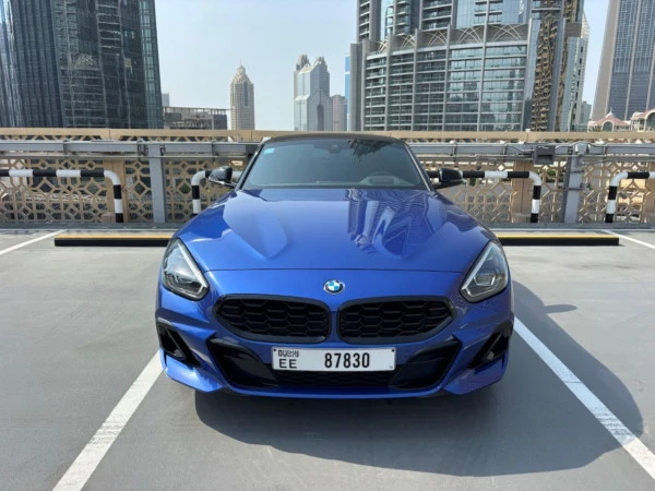 Grey BMW Z4 30I Photo 8