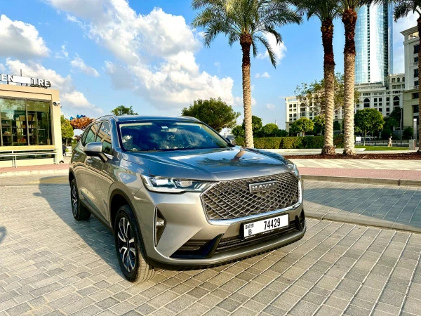 Grey Haval H6 Photo 11