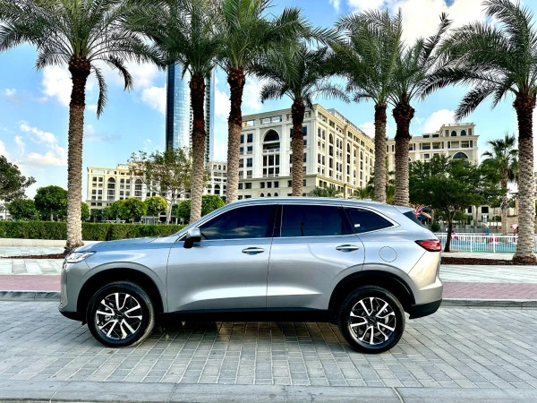 Grey Haval H6 Photo 13