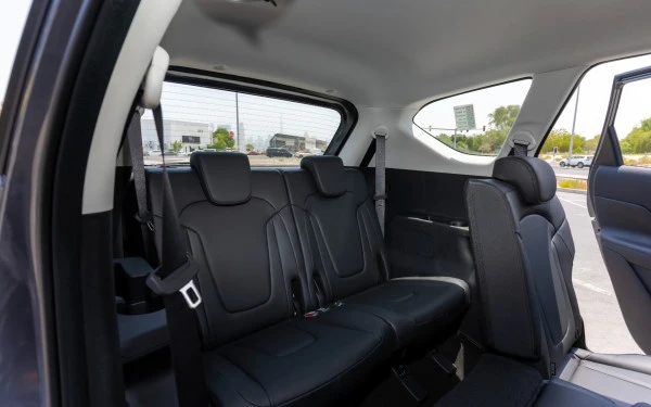 Grey Hyundai Stargazer Photo 8