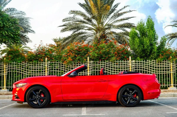 Ford Mustang Convertible