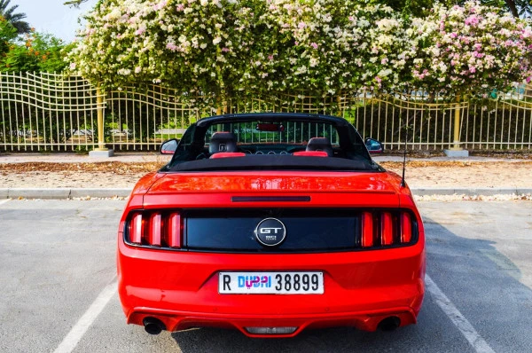 Ford Mustang Convertible