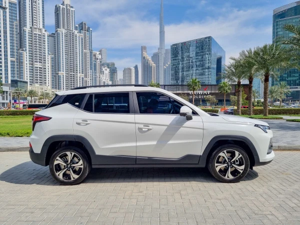 White JAC JS4 Photo 8
