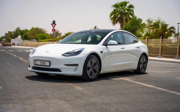 White Tesla Model 3 Photo 3