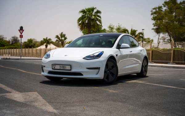White Tesla Model 3 Photo 8