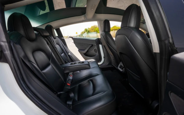 White Tesla Model 3 Photo 13