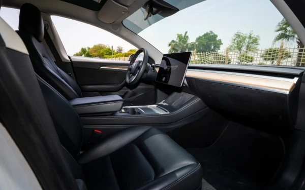 White Tesla Model 3 Photo 15