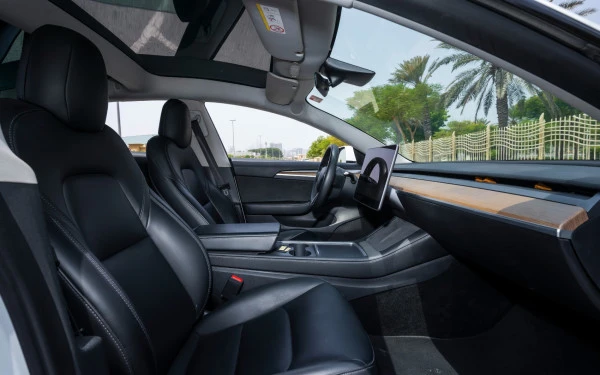 White Tesla Model 3 Photo 9