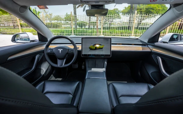 White Tesla Model 3 Photo 13