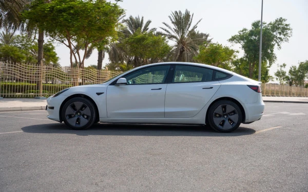 White Tesla Model 3 Photo 8