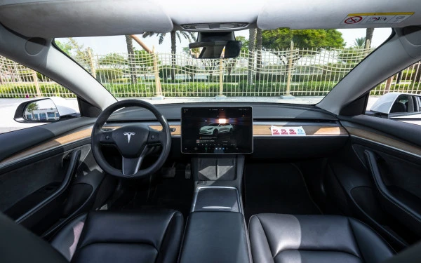 White Tesla Model 3 Photo 15