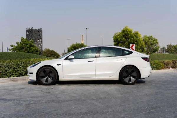 White Tesla Model 3 Photo 2