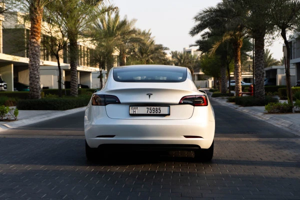 White Tesla Model 3 Photo 5