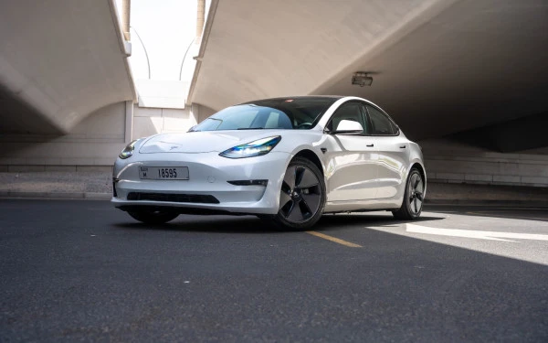White Tesla Model 3 Photo 10