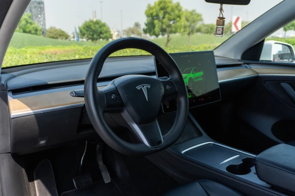 White Tesla Model Y Long Range Photo 11