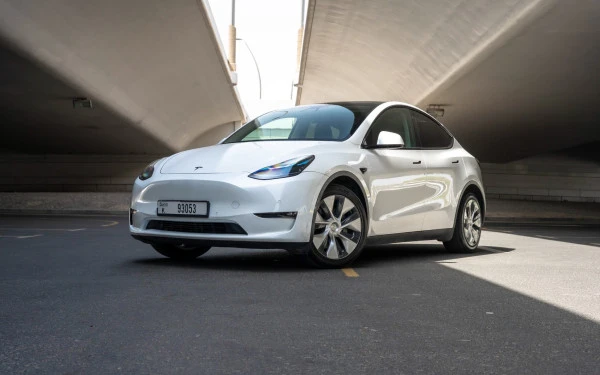 White Tesla Model Y Long Range Photo 10