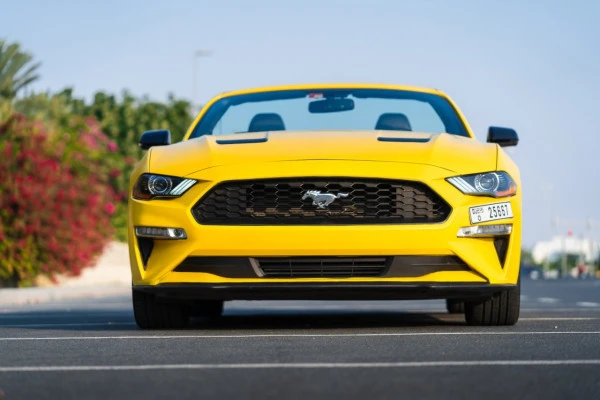 Yellow Ford Mustang cabrio Photo 6