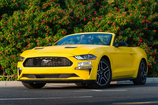 Yellow Ford Mustang cabrio Photo 8