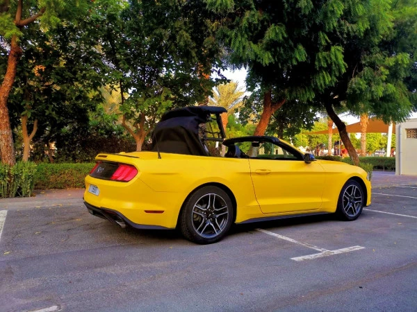 Ford Mustang cabrio